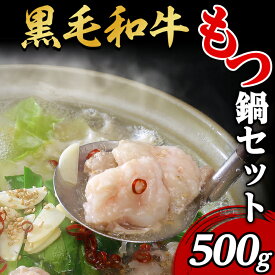 【ふるさと納税】66-7黒毛和牛もつ鍋セット500g