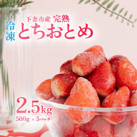 【ふるさと納税】【訳あり】 冷凍いちご 2.5kg (500g x 5) 甘熟 完熟【凍眠冷凍】下妻市内のいちご生産者Ben’s Berry【いちご イチゴ 苺 とちおとめ 冷凍いちご 便利 甘熟 完熟 甘い ストロベリー 果物 フルーツ】