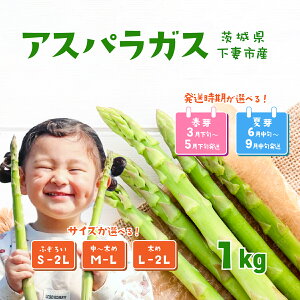 yӂ邳Ɣ[ŁẑAXpKX 1kg y ETCYIׂ znEX͔| t 26N3{~5 / ĉ 6{`9ys\ O[AXp  T_ _ƒ Yn