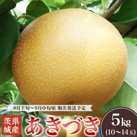 【ふるさと納税】あきづき梨 約5kg 2026年先行予約 梨 果物 くだもの フルーツ 国産 季節限定 人気 贈り物 お取り寄せ デザート 2026年先行予約 茨城県産「あきづき」約5kg【2026年8月下旬～9月中旬にかけて発送予定】