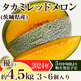 【ふるさと納税】メロン タカミメロン 赤肉 2024年 先行予約 果物 茨城県 茨城県産 旬 フルーツ くだもの 12-19茨城県産タカミレッドメロン約4.5kg（3～6個）【2024年5月中旬～6月下旬ごろ発送予定】