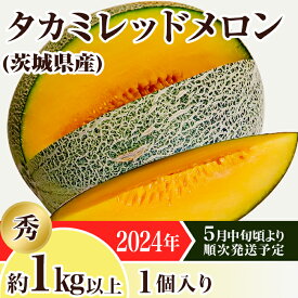 【ふるさと納税】メロン タカミメロン 赤肉 2024年 先行予約 果物 茨城県 茨城県産 旬 フルーツ くだもの 12-21茨城県産タカミレッドメロン【秀品】1個（1kg以上）【2024年5月中旬～6月下旬ごろ発送予定】