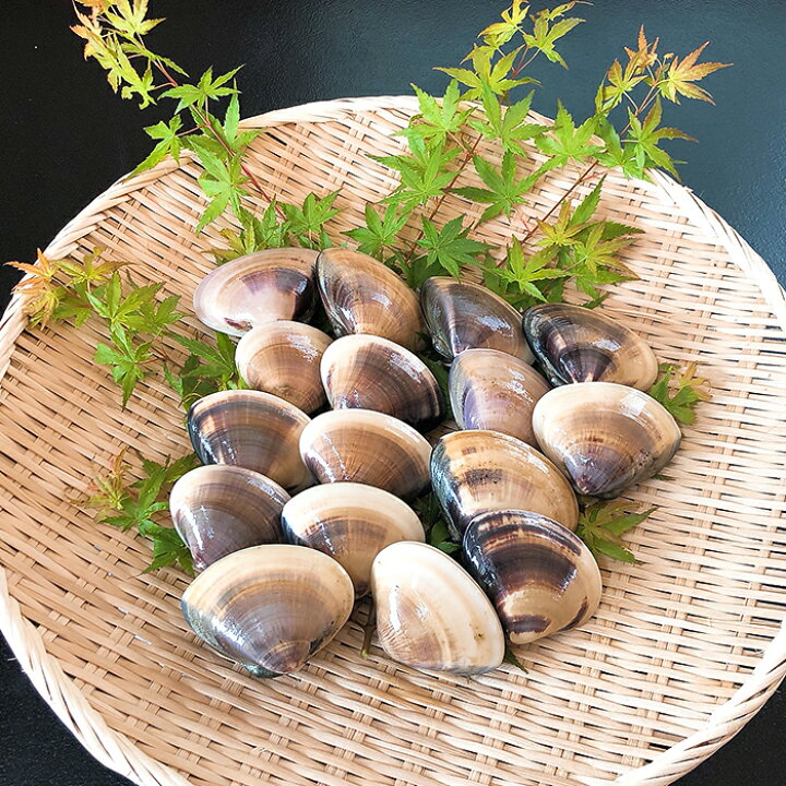 楽天市場 ふるさと納税 66 42 国産 天然活〆はまぐり冷凍 大粒1 5kg 砂抜き済み 茨城県下妻市