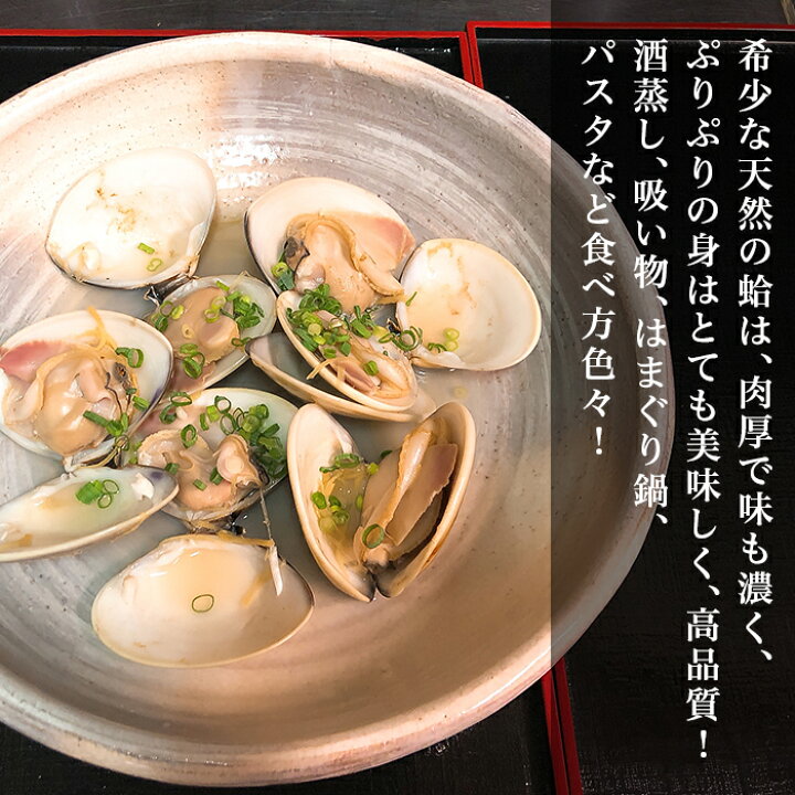 楽天市場 ふるさと納税 66 42 国産 天然活〆はまぐり冷凍 大粒1 5kg 砂抜き済み 茨城県下妻市