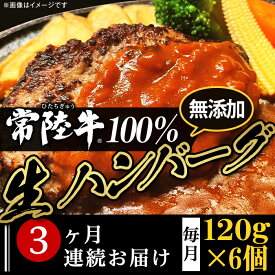 【ふるさと納税】定期便 3回 牛肉 黒毛和牛 常陸牛 ハンバーグ 冷凍 国産 贅沢 生ハンバーグ120g×6個【常陸牛】100％【3ヶ月連続お届け】