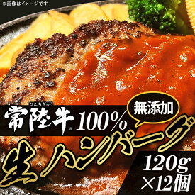 【ふるさと納税】牛肉 黒毛和牛 常陸牛 ハンバーグ 冷凍 国産 贅沢 生ハンバーグ120g×12個【常陸牛】100％