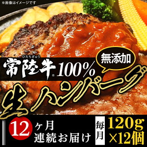 yӂ邳Ɣ[Łz 12  јa 헤 no[O Ⓚ Y ґ no[O120g×12y헤z100y12A͂z