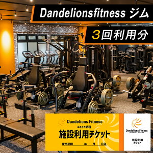 yӂ邳Ɣ[Łzg[jO _CGbg ؃g N ̒P ̉ Wp`Pbg×3iDandelionsfitnessj