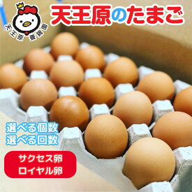 【ふるさと納税】＼選べる個数・回数／【定期便】天王原のたまご サクセス卵 / ロイヤル卵 30個 50個 1回〜12回 | たまご 卵 玉子 タマゴ 濃厚 食べ比べ ハリ 弾力 ボリューム 甘味 旨味 卵黄 卵かけご飯 卵焼き お菓子作 お中元 お歳暮 内祝い 快気祝い