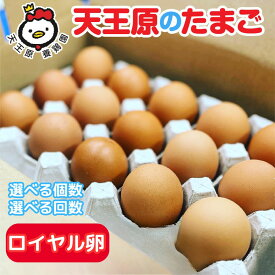 【ふるさと納税】＼選べる個数・回数／ 【定期便】天王原のたまご ロイヤル卵 30個 50個 160個 1〜12回 | たまご 卵 玉子 タマゴ 濃厚 食べ比べ ハリ 弾力 ボリューム 甘味 旨味 卵黄 卵かけご飯 卵焼き パンの材料 お中元 お歳暮 内祝い 快気祝い