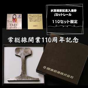yӂ邳Ɣ[ŁzCwLOꌔJbg[Zbg 푍J110NLO 110Zbg