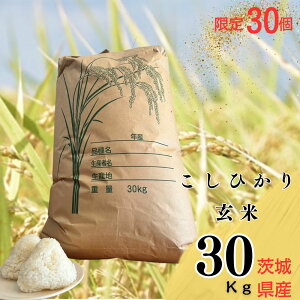 yӂ邳Ɣ[Łzyߘa7NYz30u300N̂āv錧YRVqJ30kg  | h{  Ђ   ނ ɂ  푍