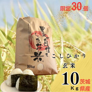 yӂ邳Ɣ[Łzyߘa7NYz30u300N̂āv錧YRVqJ10kg  | h{  Ђ   ނ ɂ  푍