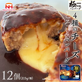 【ふるさと納税】極み焼きハンバーグ（4種のチーズソース）セット 加工食品 惣菜 レトルト