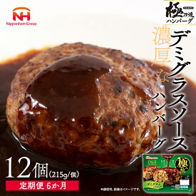 【ふるさと納税】極み焼きハンバーグ（デミグラスソース）セット定期便6か月 定期便