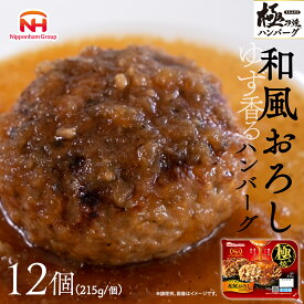 【ふるさと納税】極み焼きハンバーグ（和風おろしソース）セット 加工食品 惣菜 レトルト