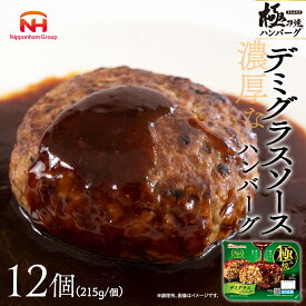 【ふるさと納税】極み焼きハンバーグ（デミグラスソース）セット 加工食品 惣菜 レトルト