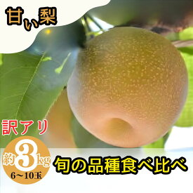 【ふるさと納税】訳アリ！先行予約・8月下旬以降発送 小林果樹園の梨 6～10玉 約3kg 朝どり みずみずしい 梨 なし ナシ 甘い フルーツ 果物 豊水 あきづき 新高 にっこり 愛宕 新雪 王秋 新興 常総市