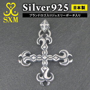 yӂ邳Ɣ[ŁzSmall vampire cross@pendant X[ @pCA NX PT y_g