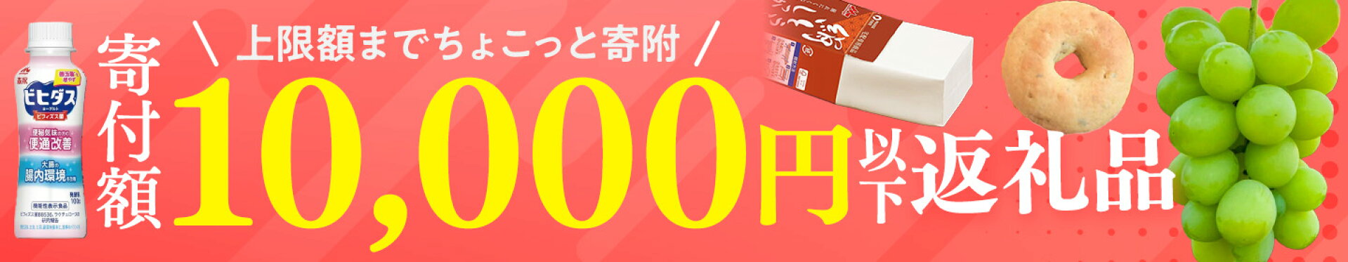 寄附額1万円以下