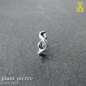 yӂ邳Ɣ[Łzplant pierce