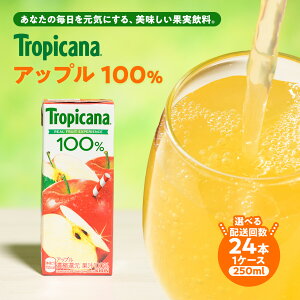 【ふるさと納税】\選べる配送回数/トロピカーナ 100% アップル 250ml LLスリム×24本 ※離島への配送不可 年末年始 お中元 お歳暮 内祝い 快気祝い