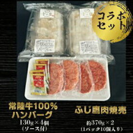 【ふるさと納税】【常陸牛】ハンバーグ＆【ふじ鷹】肉焼売セット