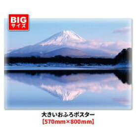 【ふるさと納税】大きいおふろポスター【富士山】マグネットシート製