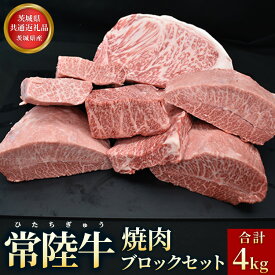 【ふるさと納税】【茨城県共通返礼品】茨城県産【常陸牛】焼肉ブロックセット（合計 4kg）