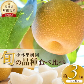 【ふるさと納税】【先行予約】小林果樹園の梨 食べ比べ5〜8玉 約3kg｜朝どり みずみずしい 梨 なし ナシ フルーツ 果物 豊水 あきづき 新高 にっこり 愛宕 新雪 王秋 新興 常総市 お中元 お歳暮 内祝い 快気祝い　※2026年9月～発送