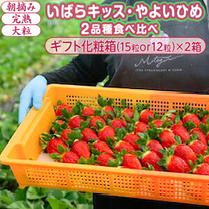 �y�ӂ邳�Ɣ[�Łz�y1�����{�`4����{�����z���΂�L�b�X�E��悢�Ђ� 2�i��H�ה�� ������ ���E�� ���n �嗱 �M�t�g���ϔ� (15��or12��)×2�� ��錧�푍�s�Y | � �C�`�S ��2026�N1�����{�`4��