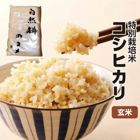 【ふるさと納税】令和7年度産 特別栽培米 コシヒカリ玄米｜コシヒカリ 玄米 お米 ブランド米 ライス 炭水化物 ご飯 主食 食卓 おにぎり お弁当 ミネラル米 こしひかり ごはん こめ コメ 産地直送 国産 茨城県産 常総市 お中元 お歳暮 内祝い 快気祝い