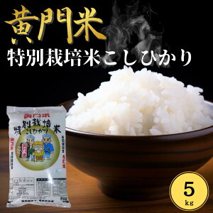 yӂ邳Ɣ[Łz ʍ͔| RVqJ  5kg | 錧 헤cs ^c~č ͕ _   nY uh cc  ӂ Â _炩  