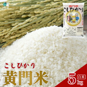 yӂ邳Ɣ[Łzߘa7NY  RVqJ 5kg  | V   nY  ߘa7NY uh cc  ӂ Â _炩   ނ  