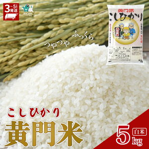 yӂ邳Ɣ[ŁzŒZ3 ߘa7NY  RVqJ 5kg V  | V   Ђ 5kg H qǂ 炿 ߘa7NY uh cc  ӂ Â _