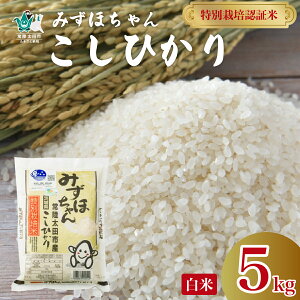 yӂ邳Ɣ[Łzߘa6NY ʍ͔| Ђ ݂ق 5kg | 錧 헤cs    V RVqJ 5kg ߘa6NY uh cc  ӂ Â _炩