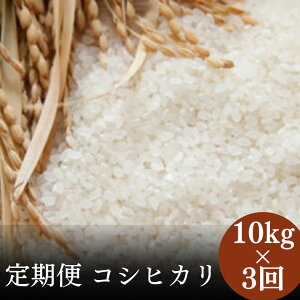 【ふるさと納税】【3か月定期便】令和7年産 茨城県 常陸太田市産 コシヒカリ10kg (全3回) | 茨城県 常陸太田市 お米 白米 精米 地元産 コシヒカリ ブランド米 ツヤツヤ もっちり ふっくら 甘み