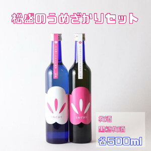 yӂ邳Ɣ[Łẑ߂Zbg@500ml×2 ~ {~y헤c lC ~ ݔ ݂ ̓ ̓ v[g 50 60 70 80 Mtg җj Ê ËH  