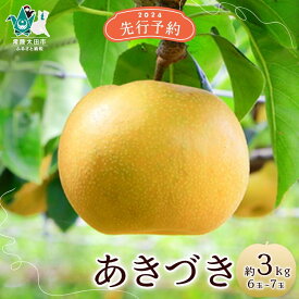 【ふるさと納税】《先行予約 数量限定》 梨 あきづき 約3kg 7玉～8玉 | 茨城県 常陸太田市 梨 和梨 フルーツ 豊水 甘み 糖度 食べ応え 食感 しゃりしゃり 美味しい みずみずしい さっぱり 果汁 風味 デザート 限定 お取り寄せ