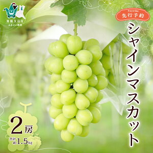 yӂ邳Ɣ[Łzss\ 2025NtVC}XJbg2[ 1.5kg | VC}XJbg Ԃǂ Yn ʕ  VN lCi fU[g XC[c  L x L