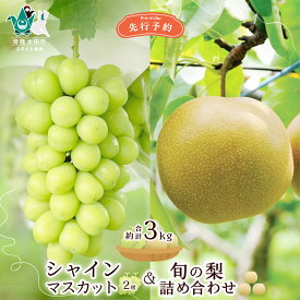 【ふるさと納税】《先行予約 2026年》 シャインマスカット2房と旬の梨詰め合わせ 総重量約3kg | 茨城県 常陸太田市 梨 和梨 フルーツ セット 詰め合わせ ぶどう ブドウ シャインマスカット 甘み 糖度 美味しい みずみずしい さっぱり 果汁 デザート 限定 お取り寄せ