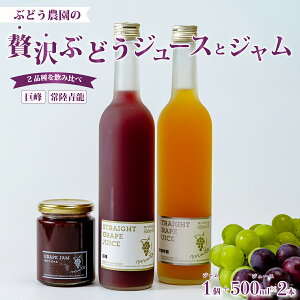 yӂ邳Ɣ[ŁzԂǂW[X2{ (E헤){WZbg | 錧 헤cs Ԃǂ  헤 IWii W[X W Zbg Z  x ʏ` ʓ 