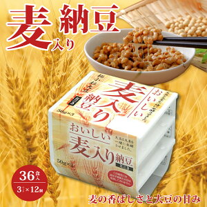 yӂ邳Ɣ[Łz[i40g×3pbNj×12 | [ ȂƂ Y哤  ۔  ܂ Yi [ kC 哤 ȂƂ yHi 哤Hi aH  