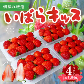 【ふるさと納税】いちご いばらキッス 約260g×4パック | いちご 苺 イチゴ いばらキッス ブランド苺 新鮮 朝採れ フルーツ 大きい 果物 デザート 贈り物 人気 高級 ギフト お取り寄せ 完熟 はる農園 茨城県 常陸太田