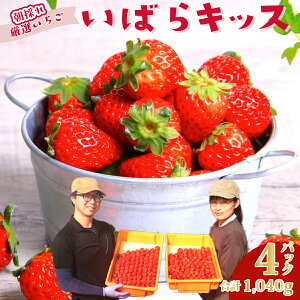 yӂ邳Ɣ[Łz ΂LbX 260g×4pbN |   C`S ΂LbX uh VN ̂ t[c 傫 ʕ fU[g 蕨 lC  Mtg  n 