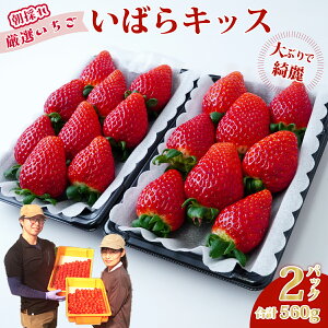 yӂ邳Ɣ[Łz l߃fbNX ΂LbX 280g×2pbN 1 |   C`S ΂LbX uh VN ̂ t[c 傫 ʕ fU[g 蕨 lC  Mt