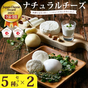 yӂ邳Ɣ[ŁzJapan Cheese Awards2024܁Ii``[Y5×2Zbg (bc@/J`J@b/XgO/n[h/t}[Wu) VNȐƐĤ| `[Y H[ Ɛ 