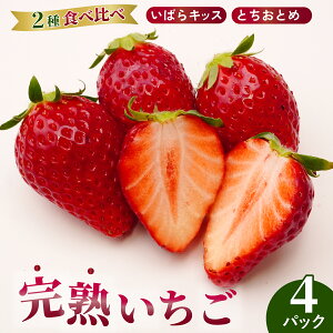 yӂ邳Ɣ[ŁzyIׂeʁzOv܎ n2pbN/4pbN |  C`S  n ƂƂ ΂LbX 3 4 t[c { Yn  tbV