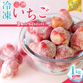 【ふるさと納税】冷凍いちご 1kg 500g×2袋 選べる配送 通常便 3カ月定期便 | 茨城県 常陸太田市 檜山いちご園 いちご 苺 フルーツ 冷凍 いばらキッス ひたち姫 やよい姫 おいしい 人気 お取り寄せ アレンジ スイーツ ジャム スムージー デザート プレゼント ギフト 贈答品