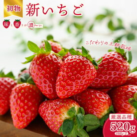 【ふるさと納税】いちご 初物 【2027年/先行予約】 厳選いちご 2パック×1箱 《2026年12月発送》｜ 年内発送 香り 大粒 いちご いばらキッス ひたち姫 やよいひめ 厳選 フルーツ 苺 イチゴ 朝採れ 糖度 酸味 濃厚 初物 甘い 果肉 品質 果物 贈り物 先取り 茨城県 常陸太田